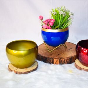 Bowl Shaped Planters