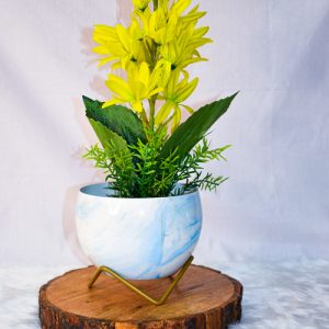 Bowl Shaped Planters