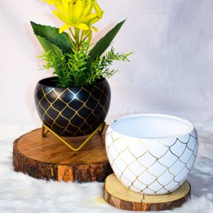 Bowl Shaped Planters