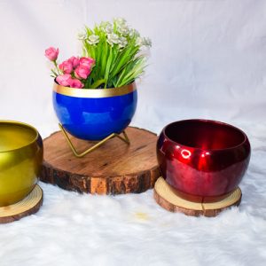 Bowl Shaped Planters